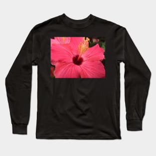 Atlanta, GA.  -- Spring Blooms I  ! Long Sleeve T-Shirt